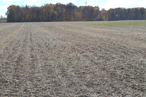 Property photo 47 - 75.3 Acres Offered in 2 Tracts